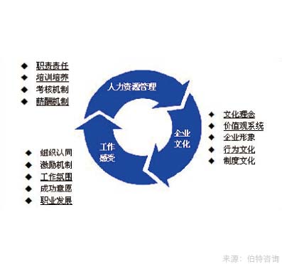 年度綜合員工調(diào)研與組織診斷